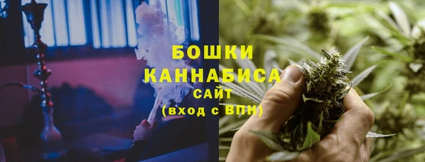 ПСИЛОЦИБИНОВЫЕ ГРИБЫ Абаза