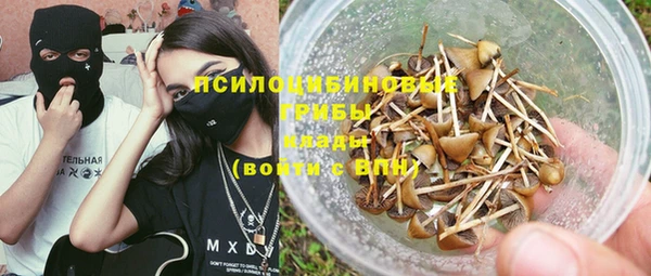 сатива Майский
