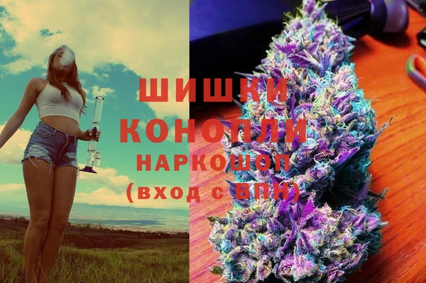 ПСИЛОЦИБИНОВЫЕ ГРИБЫ Абаза