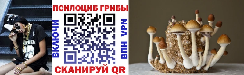 Псилоцибиновые грибы Psilocybine cubensis  Оренбург 
