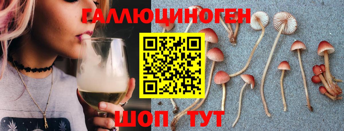 Оренбург  Галлюциногенные грибы Cubensis  Вход с VPN  Галлюциногенные грибы ЛСД 