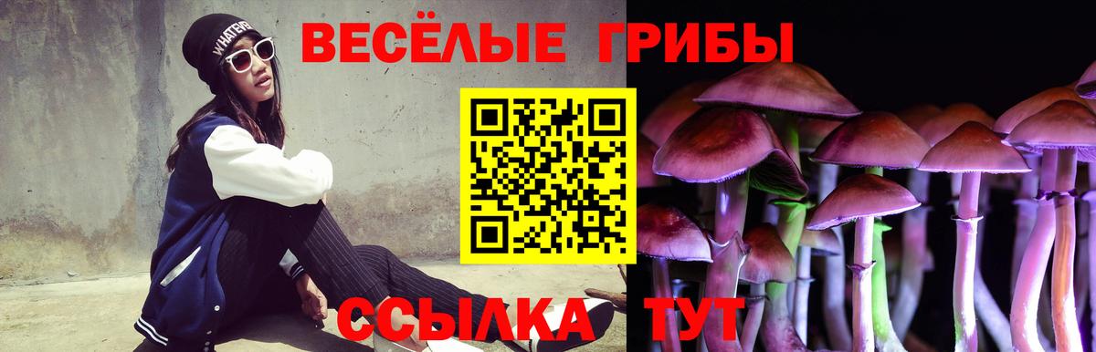Галлюциногенные грибы мухоморы Оренбург